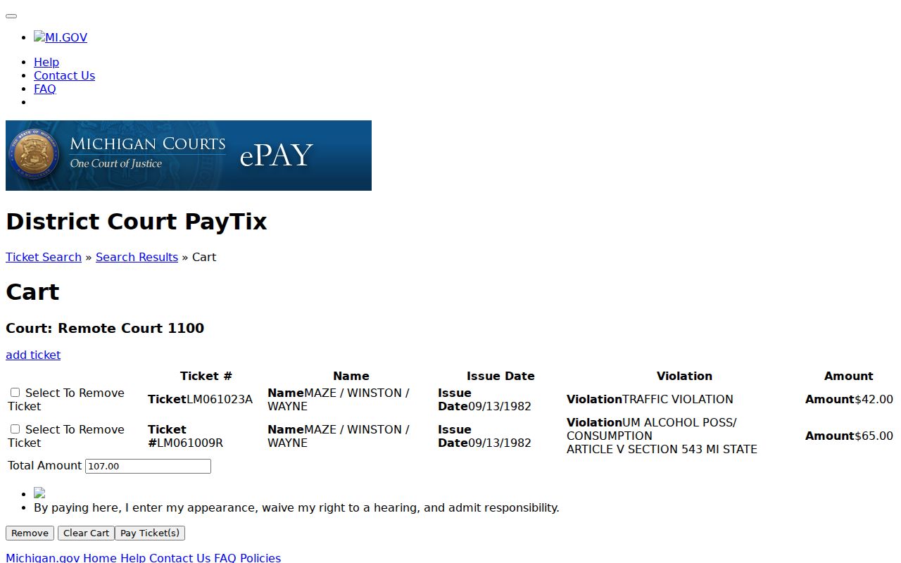 Isabella County traffic court record eTix payment cart fields